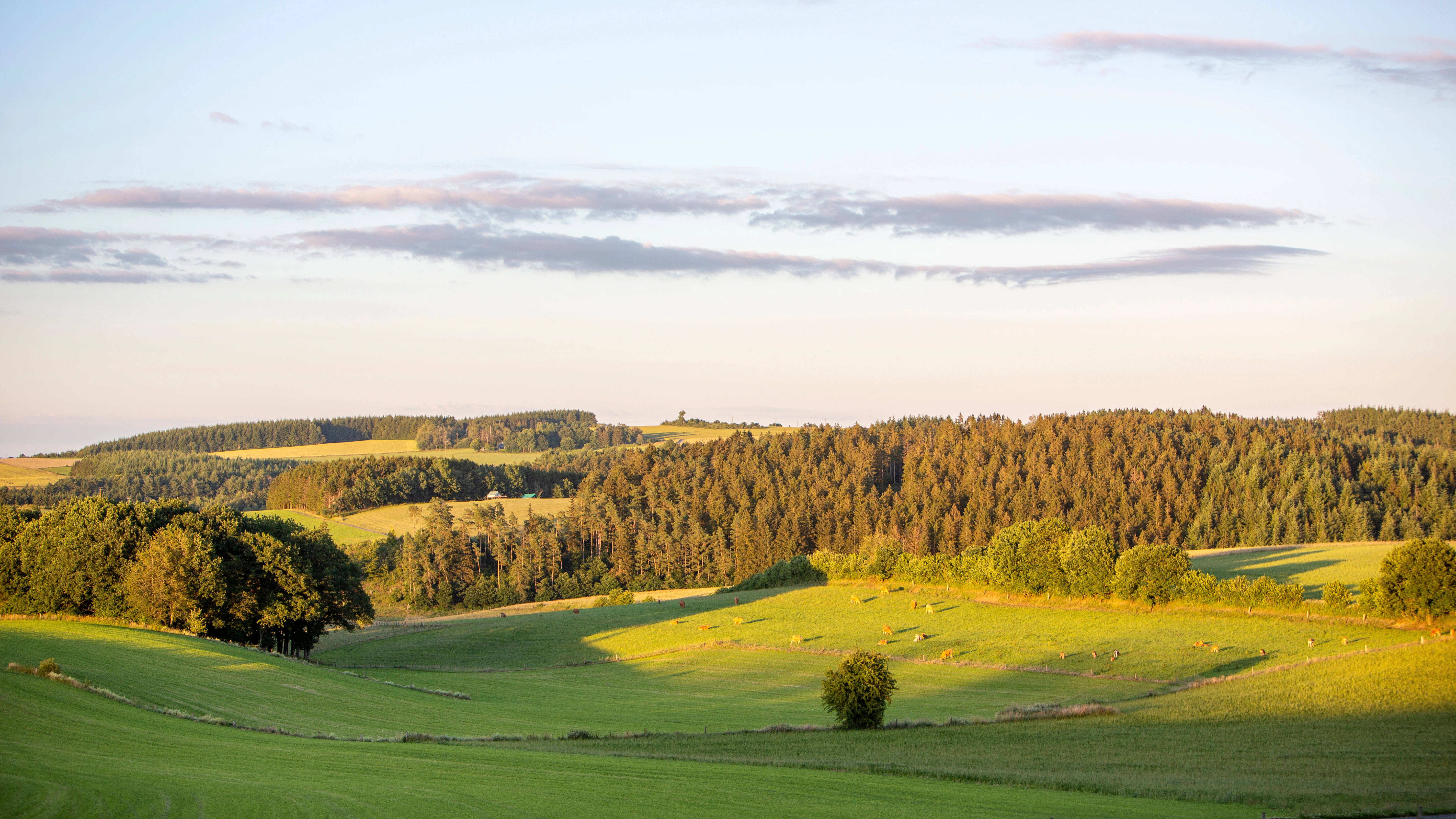 Ardens landschap bij Durbuy